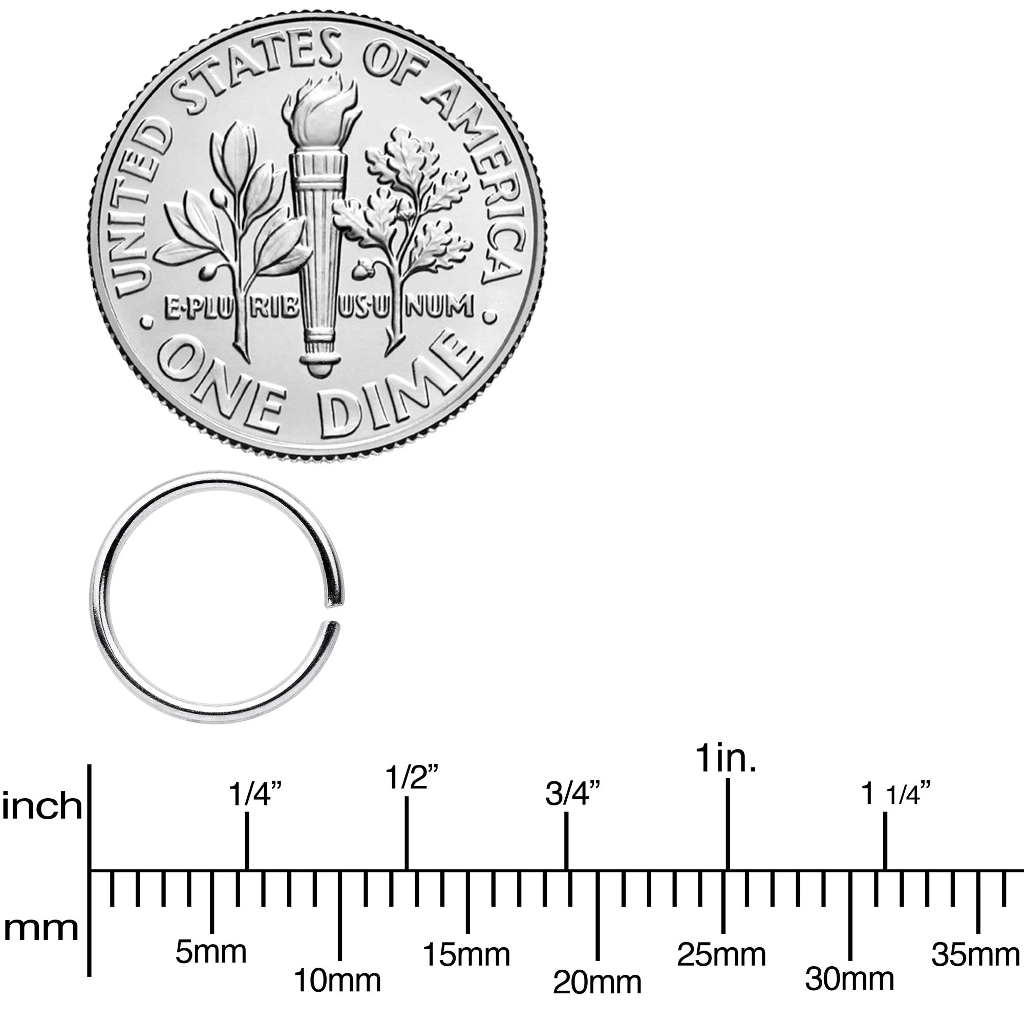 20 Gauge 5/16 Seamless Circular Ring Set of 12