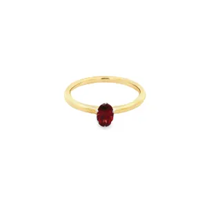 9ct Yellow & White Gold Solitare Ring with a Oval Rhodolite Garnet