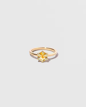Aeglos Ring