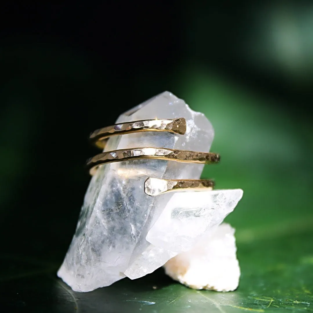 Pipeline Ring