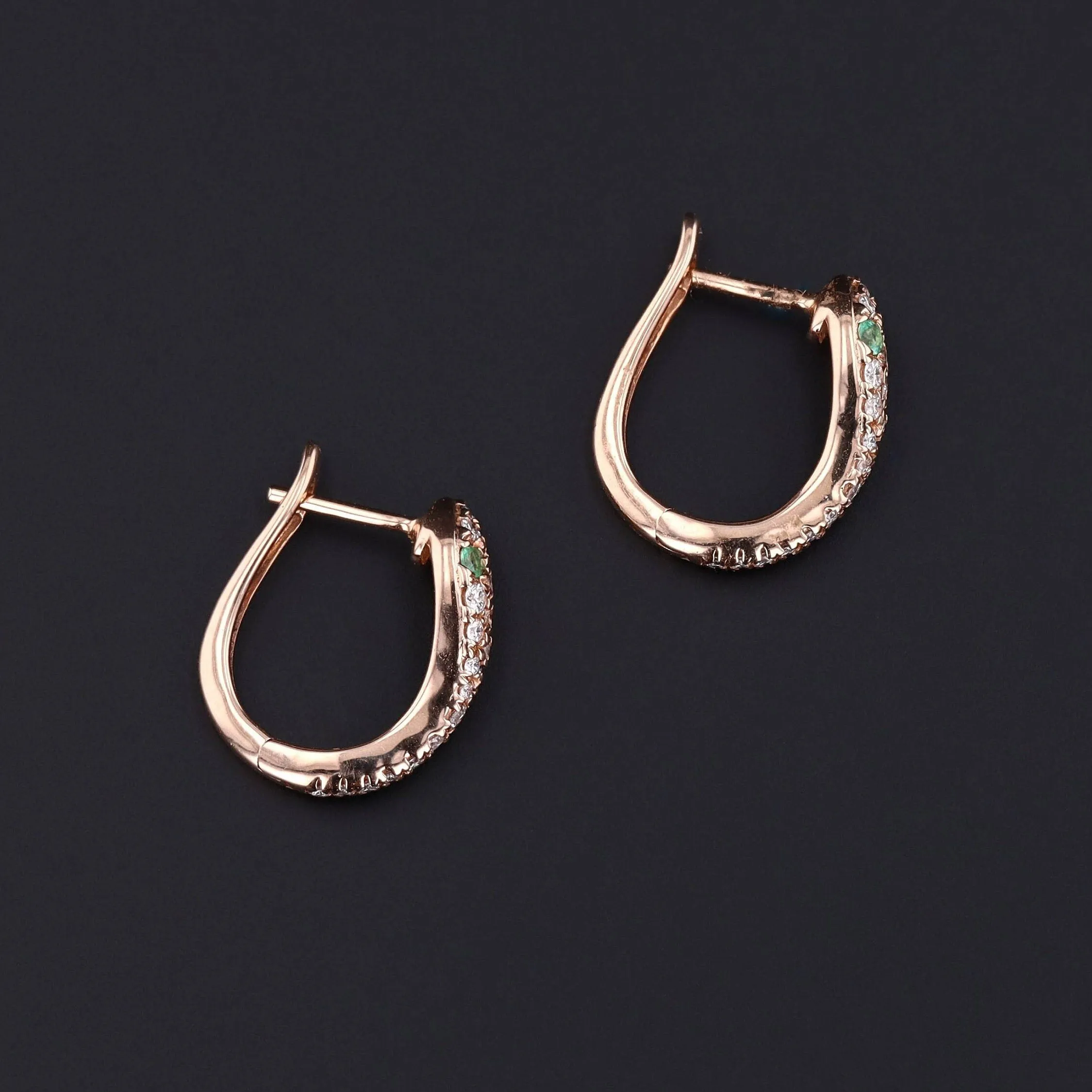 Snake Earrings | Diamond Hoops